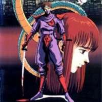   Ninja Gaiden <small>Animation Director</small> 